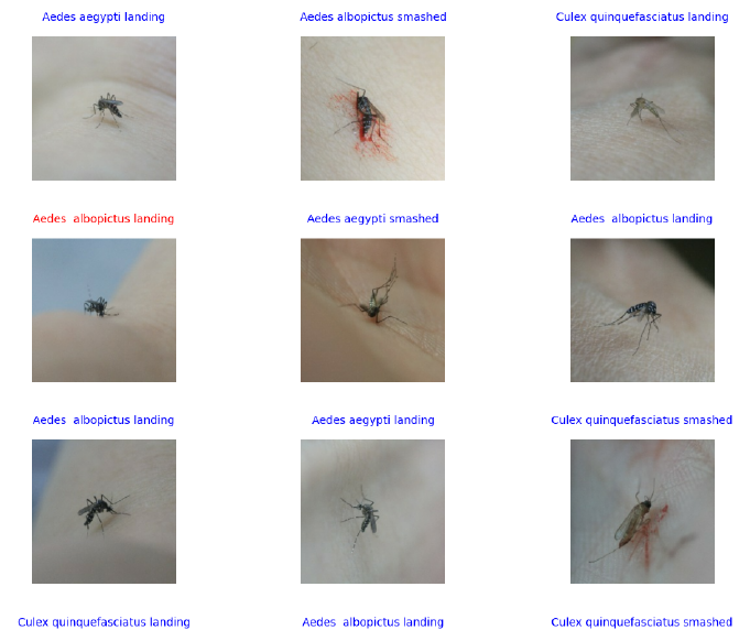 mosquito_diseases